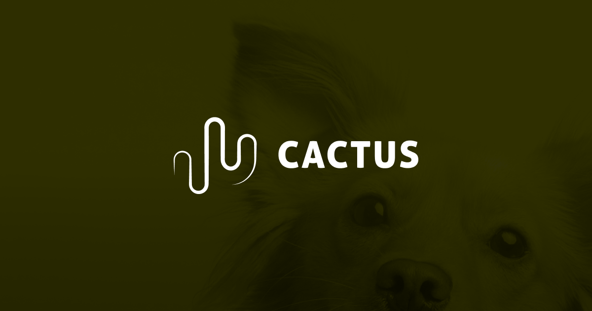 Home We Are Cactus logo